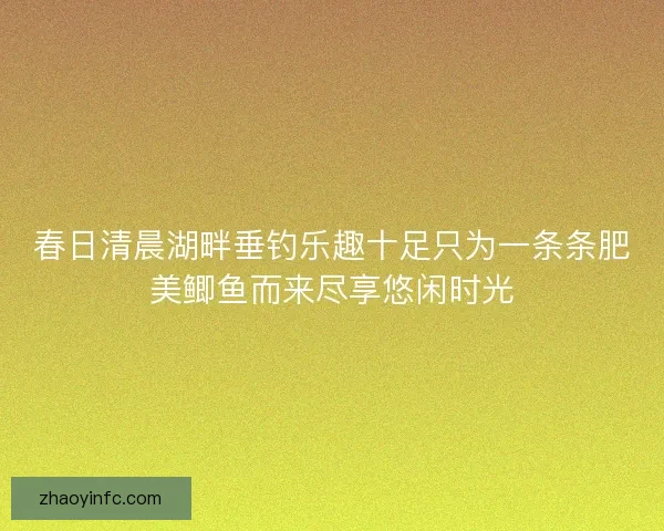 春日清晨湖畔垂钓乐趣十足只为一条条肥美鲫鱼而来尽享悠闲时光